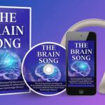 the brain song